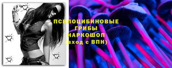 гидра Кодинск