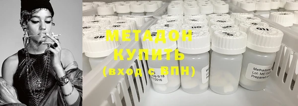 гидра Кодинск