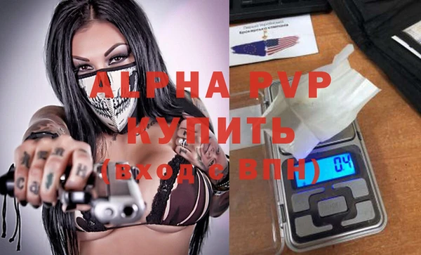 гидра Кодинск