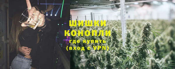 гидра Кодинск