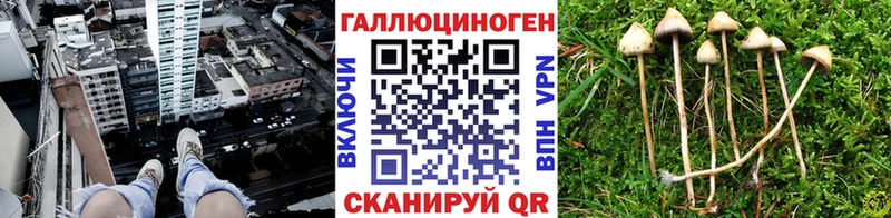 Псилоцибиновые грибы MAGIC MUSHROOMS площадка формула Кинешма